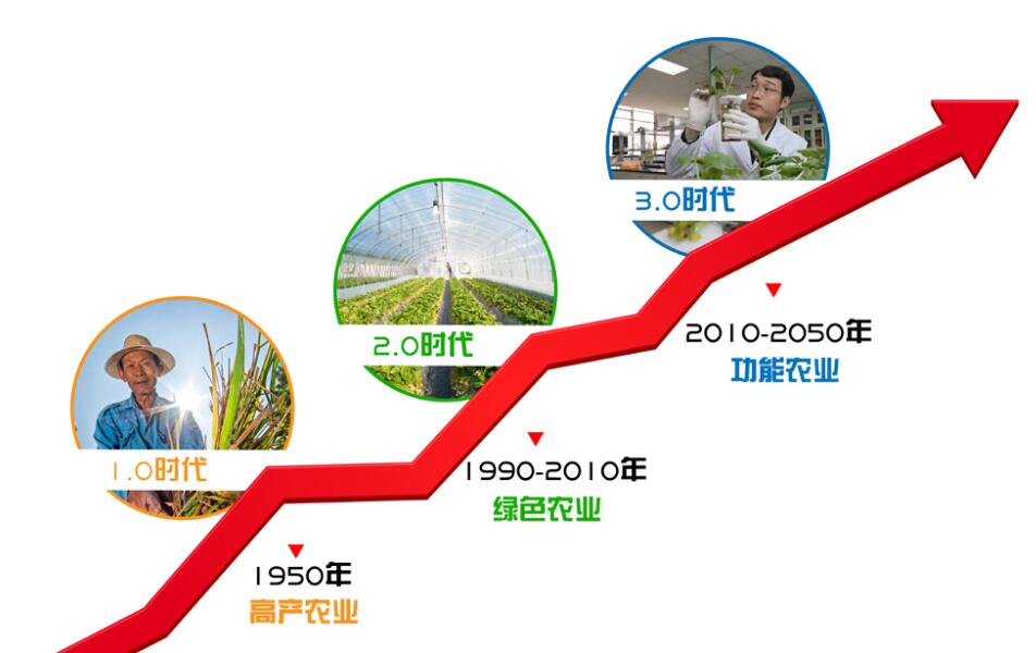 2024澳门2024免费原料