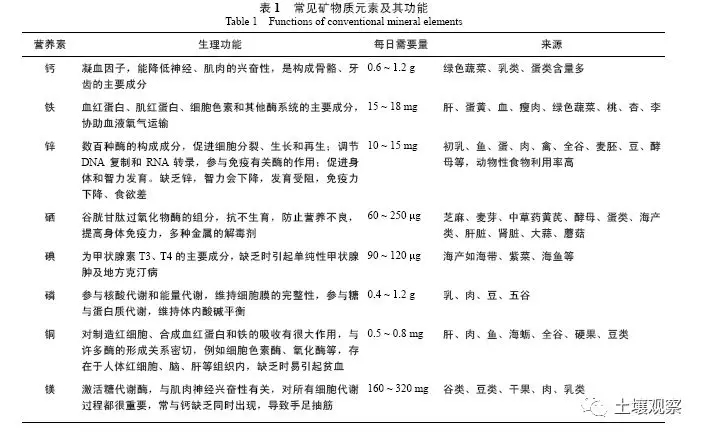 2024澳门2024免费原料