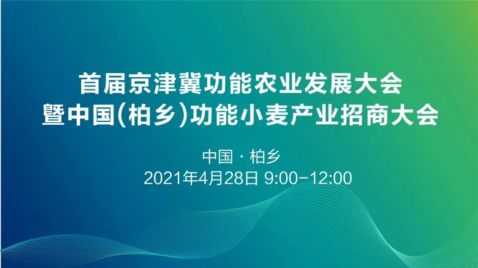 2024澳门2024免费原料