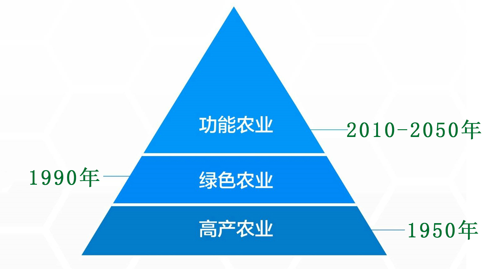 2024澳门2024免费原料